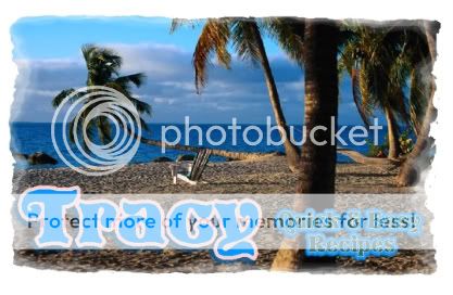 BeachPalm.jpg picture by cl-daisy526