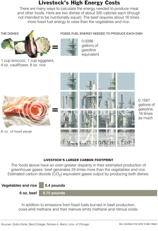 The Oil We Eat Redux